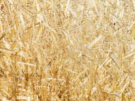 Close-up view of light wood fiber board showcasing its natural texture and color ideal for design projects.
