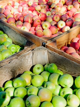 A food concept photo of green and red apples in large wooden crates in eastern Washington.