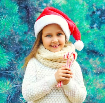 Christmas smiling child little girl in santa red hat with sweet lollipop cane near a branch tree