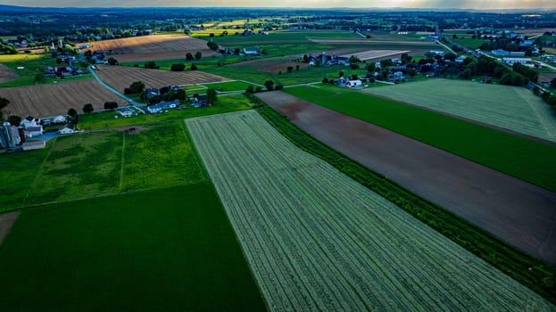 Expansive farmland stretches across the countryside with various crop patterns under the warm glow of late afternoon light, showcasing the beauty of rural agriculture.