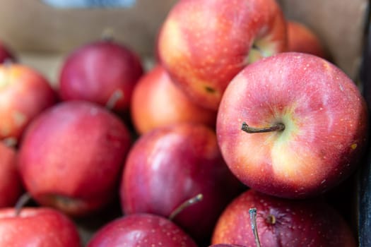 market agriculture diet fresh healthy raw food produce fruit apple organic red green