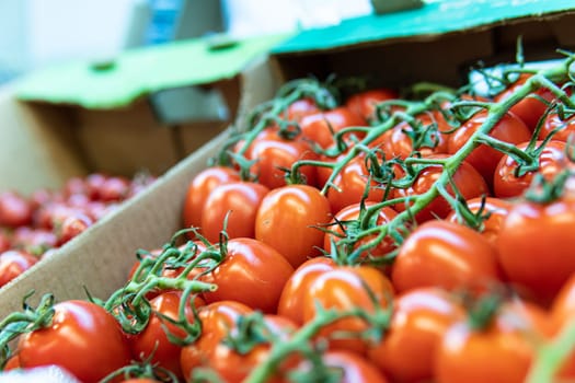 tomato raw vegetable produce food organic juicy red market fresh nature agriculture vegetarian
