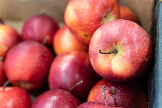 agriculture fruit healthy food diet market raw apple fresh organic red produce green