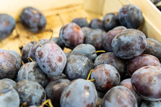agriculture fruit ripe natural sweet market organic healthy juicy fresh food harvest background