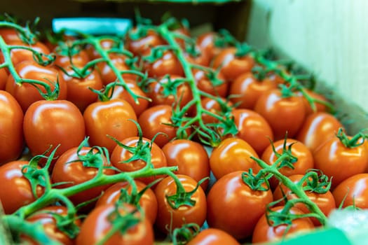 nature red organic juicy agriculture tomato vegetarian vegetable market produce fresh raw food