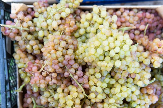 organic healthy nutrition nature grape fruit market harvest food green juicy fresh agriculture