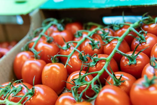 agriculture juicy produce raw market food vegetable red nature tomato fresh organic vegetarian