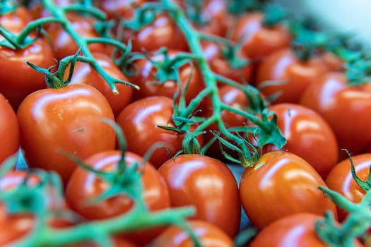 food raw tomato market vegetable red produce fresh agriculture organic nature juicy vegetarian