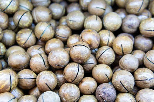 no - snack ingredient food organic freshness macadamia nut cooking people seed nutshell