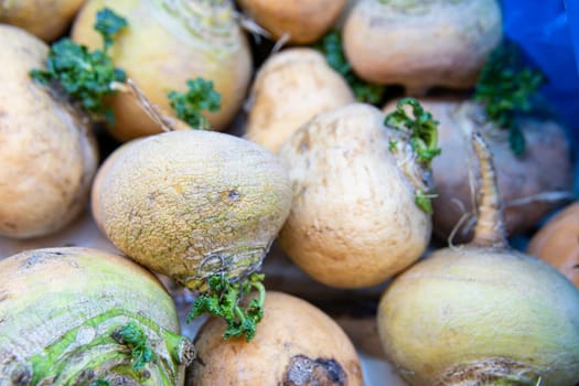 turnip agriculture natural background food raw root plant vegetable fresh organic healthy