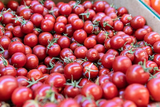 ripe red fresh organic tomato closeup freshness agriculture juicy vegetable food raw ingredient