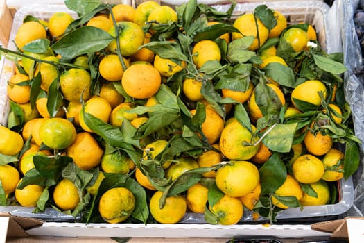 fruit market healthy ripe juicy food vegetarian raw fresh organic citrus sweet background