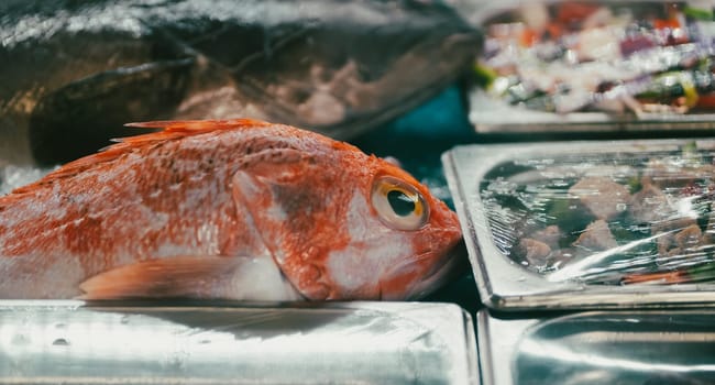 Ocean fresh fish and various seafood on display at the fish market lie on ice.