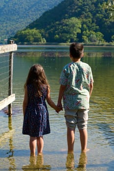 Vertical portrait of two adorable kids, boy and girl standing back to the camera, holding hands and admiring the beautiful landscape of Segrino lake, against Italian Alps background. People and nature