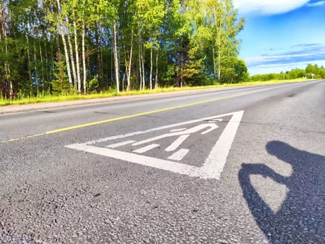 A pedestrian crossing sign is prominently displayed on a quiet road lined with trees in bright afternoon sunlight.