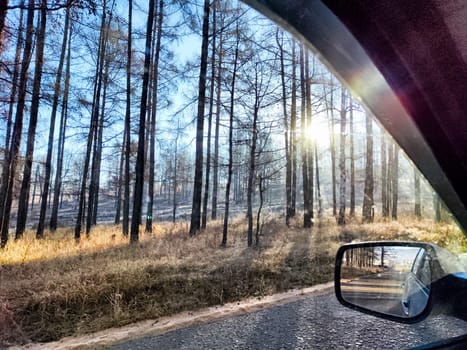 In the early morning, sunlight filters through charred trees beside a deserted road, showcasing the aftermath of a wildfire.