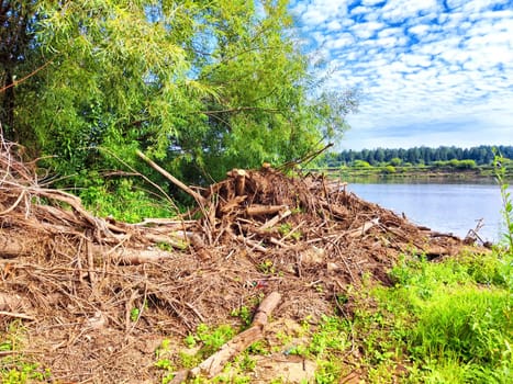 A significant accumulation of fallen trees and debris lines the shore, illustrating the aftermath of a spring flood and water pollution