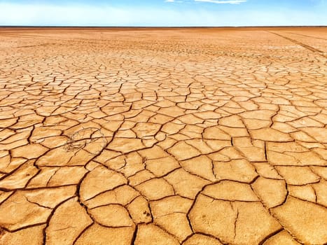 The dry ground is marked by deep cracks, illustrating the harshness of the desert environment under a blue sky.