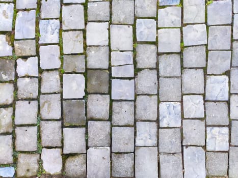 This view showcases a cobblestone walkway, highlighting the diverse textures and patches of green moss in a peaceful outdoor environment.
