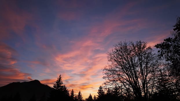 The sky is painted in vibrant hues of pink and purple as dusk settles over a tranquil landscape, featuring silhouetted trees and distant mountains