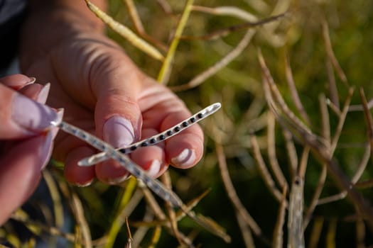 A closeup of a person holding a slender snake among vibrant plants, showcasing natures elegance and allure