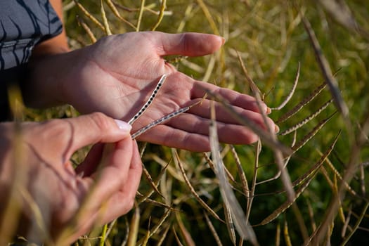 A detailed closeup of hands carefully examining intricate natural threads amidst lush, vibrant greenery