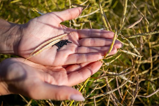 Gently cradling an insect and seed pods, this moment illustrates the rich diversity found in nature