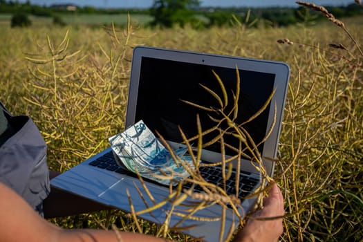 Delving into the fascinating connection between technology and the natural world while using a laptop in golden fields