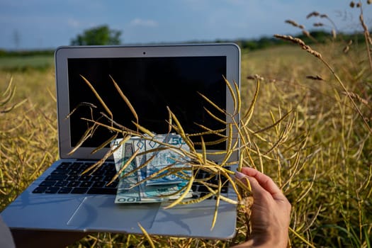 A laptop thoughtfully placed in a lush grassy field symbolizes the beautiful blend of technology and nature