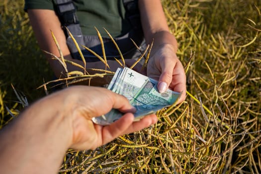 A closeup image showing a hand exchanging cash amidst a serene field, symbolizing commerce and social interaction