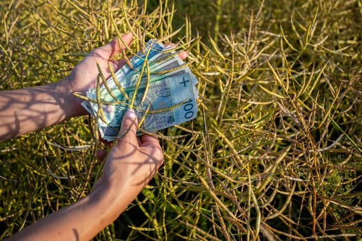 A striking contrast between currency and nature, highlighting the value of wealth in a natural setting