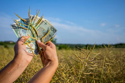 A person stands in a vast field, showing currency notes, symbolizing the link between agriculture and wealth