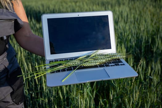 A laptop is held among lush green wheat, symbolizing the beautiful blend of technology and nature together