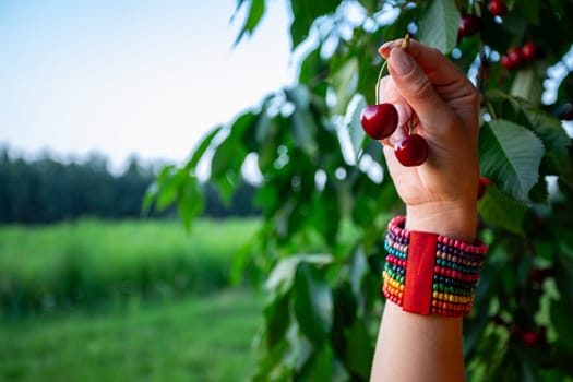 A vibrant and colorful hand gracefully holds fresh cherries against a beautiful and scenic green backdrop