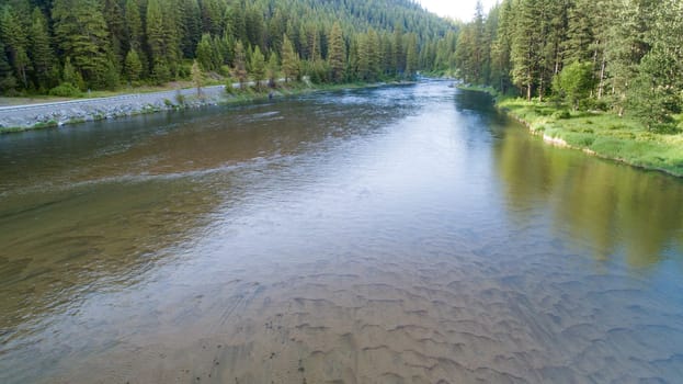 A tranquil river flows gently through a lush forest setting, surrounded by vibrant pine trees and serene pathways, evoking a sense of peace and natural beauty.
