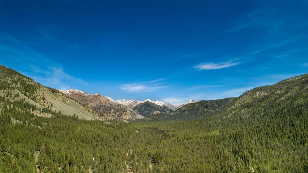 A breathtaking view of a vast mountain range with dense forests under a clear blue sky, capturing the beauty of nature.