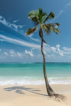 Scenic tropical beach with a leaning palm tree and clear azure ocean waves