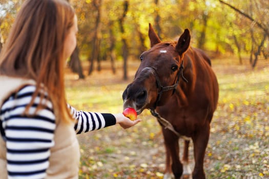 A young woman in a striped shirt and vest feeding a brown horse a red apple in an outdoor forest setting during autumn. The horse is focused on the apple in her hand.