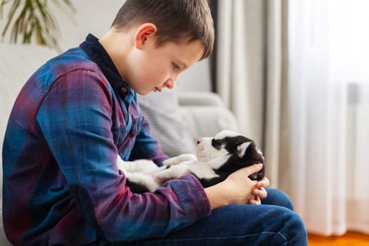 A young boy in a plaid shirt gently holds a black and white puppy on his lap while sitting indoors on a couch. Close-up interaction showcasing care and affection in a cozy home setting.
