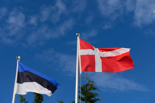 Banners of Estonia and Denmark flutter against a backdrop of fluffy clouds and vibrant blue, celebrating unity.