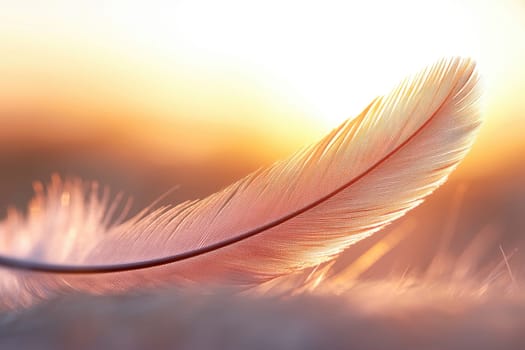A feather is shown in a close up of a field with the sun in the background. The feather is light pink and has a delicate appearance. Concept of tranquility and beauty