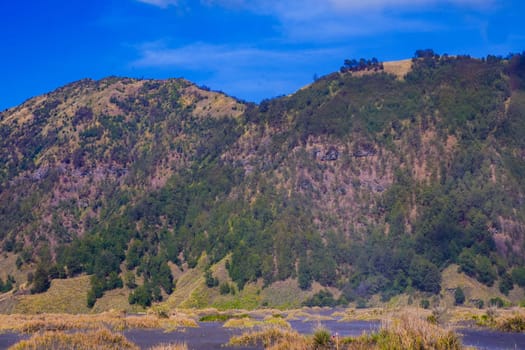 A picturesque landscape of rolling hills with vibrant green grass under a dramatic blue sky and fluffy white clouds.