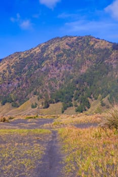 A picturesque landscape of rolling hills with vibrant green grass under a dramatic blue sky and fluffy white clouds.