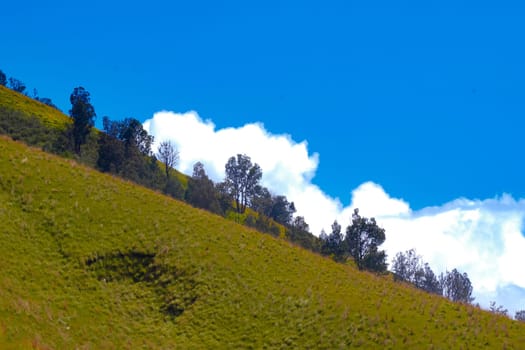 A picturesque landscape of rolling hills with vibrant green grass under a dramatic blue sky and fluffy white clouds.