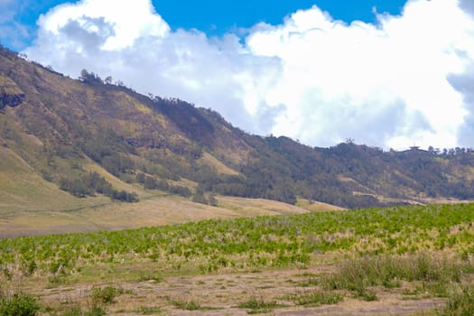 A picturesque landscape of rolling hills with vibrant green grass under a dramatic blue sky and fluffy white clouds.