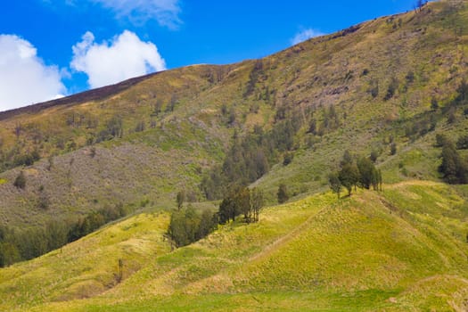 A picturesque landscape of rolling hills with vibrant green grass under a dramatic blue sky and fluffy white clouds.