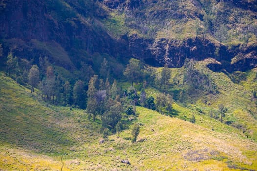 A picturesque view of rolling hills covered in lush green grass and dotted with scattered trees. The landscape stretches towards a distant horizon under a clear blue sky near Bromo, Indonesia