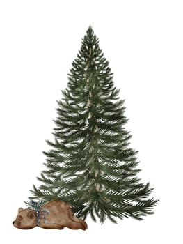 Christmas card watercolor. Hand drawn vintage evergreen tree with a bear isolated on white background. Clip art of Christmas and New Year symbol. Ideal for greeting cards, posters and home crafts design. High quality illustration