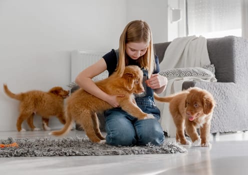 Girl Plays With Nova Scotia Retriever Puppies At Home On Floor, Nova Scotia Retriever Toller