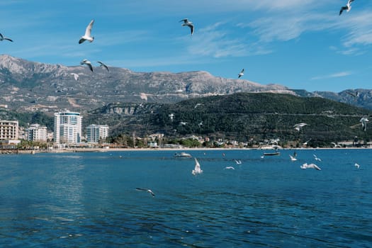 Seagulls circle over the sea off the coast with apartment buildings at the foot of the mountains. High quality photo